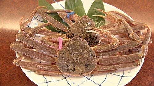 Snow Crab Snow Crab