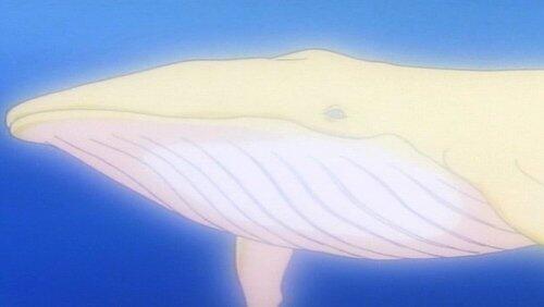 The light whale* in danger: Devil`s attack! The light whale* in danger: Devil`s attack!