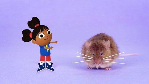 Mouse Mouse