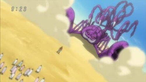 Warning Issued! Zebra Lands on Sand Garden! Warning Issued! Zebra Lands on Sand Garden!