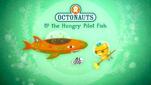 The Hungry Pilot Fish The Hungry Pilot Fish