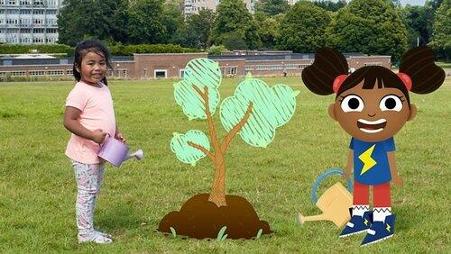Tree Tree
