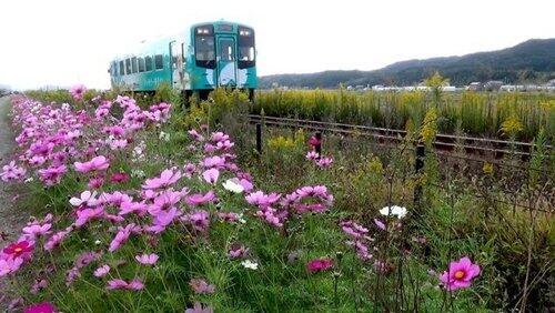 Tenryu Hamanako Railroad: Working with the Community to Revitalize the Railway Tenryu Hamanako Railroad: Working with the Community to Revitalize the Railway