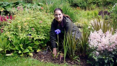 Irises and Ornamental Grasses Irises and Ornamental Grasses
