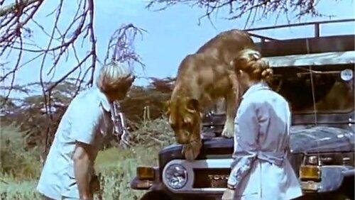 Death of a Hunter Death of a Hunter