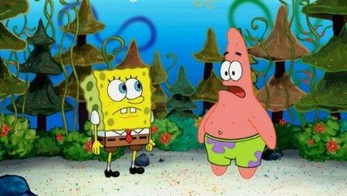 SpongeHenge SpongeHenge