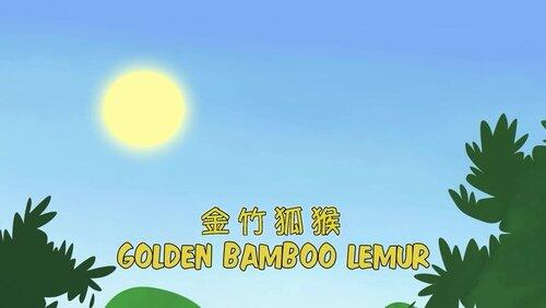 Golden Bamboo Lemur Golden Bamboo Lemur