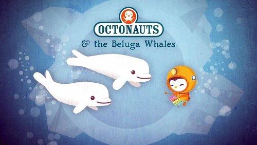 The Beluga Whales The Beluga Whales