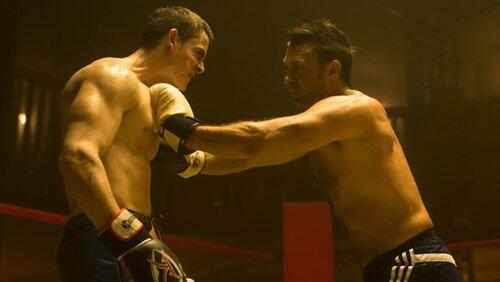 Fights Fights