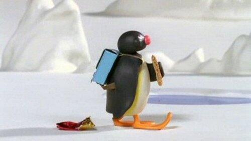 Pingu and the Litter Pingu and the Litter