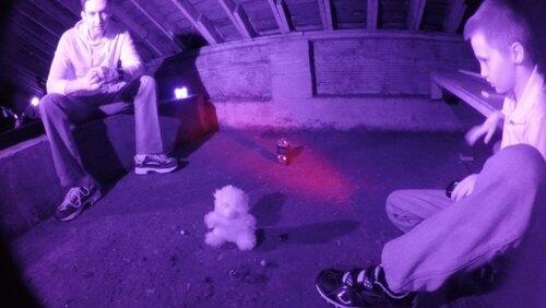 Children in the Attic Children in the Attic