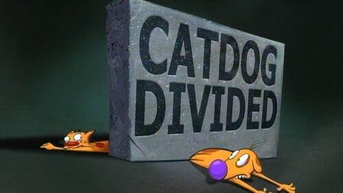 Dog Ate It Dog Ate It