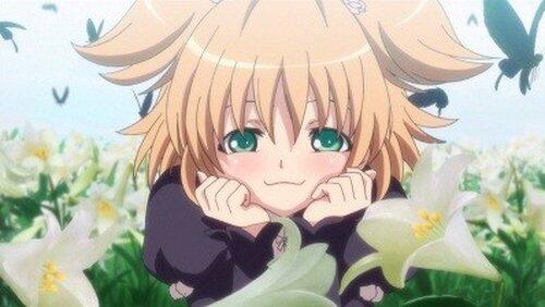 The White Lily of the Battlefield The White Lily of the Battlefield