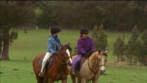 The Saddle Club The Saddle Club