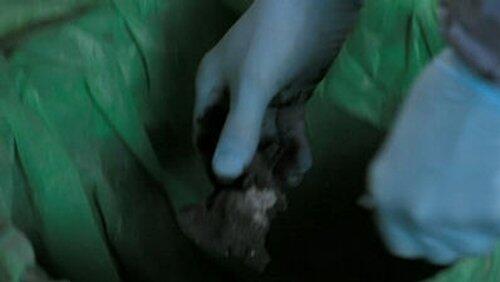Hippocratic Oath, Part Two Hippocratic Oath, Part Two