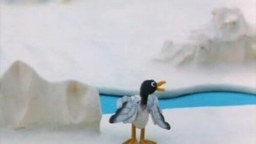 Pingu and the Seagull Pingu and the Seagull