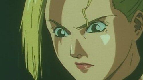 The Beautiful Assassin The Beautiful Assassin