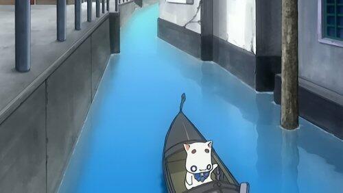 Going to the Cats' Kingdom... Going to the Cats' Kingdom...