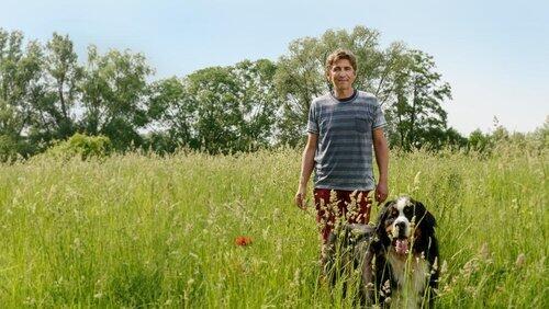 Wiese - Grüne Wildnis in Gefahr