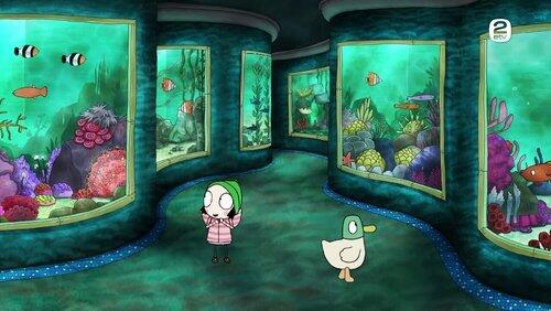 Planetarium Aquarium Planetarium Aquarium