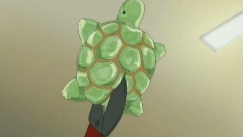 The Great Decisive Battle!! Koala's Dragon vs. Kazuma's Turtle! The Great Decisive Battle!! Koala's Dragon vs. Kazuma's Turtle!