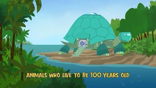 Animals Who Live to Be 100 Years Old Animals Who Live to Be 100 Years Old