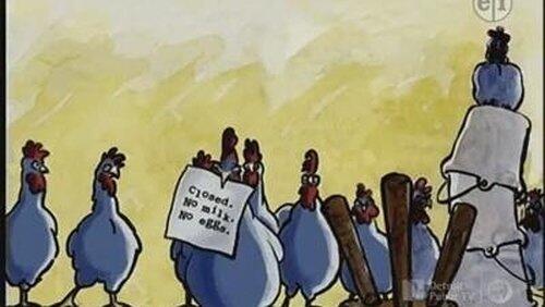 Click, Clack, Moo/The Little Red Hen Click, Clack, Moo/The Little Red Hen