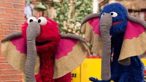 Grover's Street Safari Grover's Street Safari