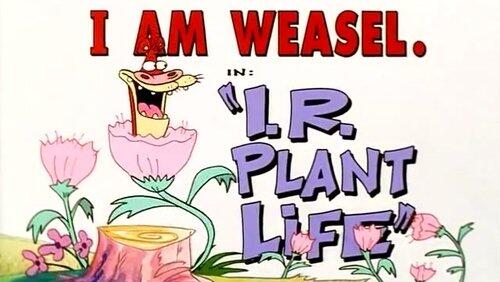 I.R. Plant Life I.R. Plant Life