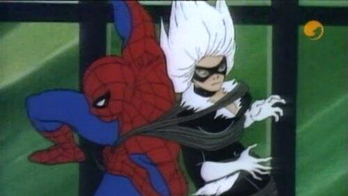 Curiosity Killed the Spider-Man Curiosity Killed the Spider-Man