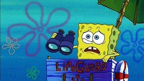 SpongeGuard on Duty SpongeGuard on Duty