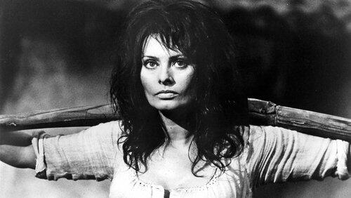 Sophia Loren Sophia Loren