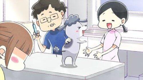 The Vet The Vet