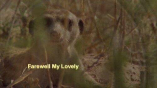 Farewell, My Lovely Farewell, My Lovely
