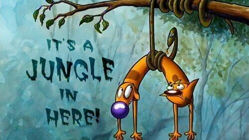 CatDog Campers CatDog Campers
