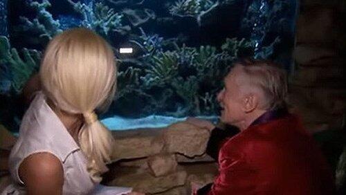The Age of Aquarium The Age of Aquarium