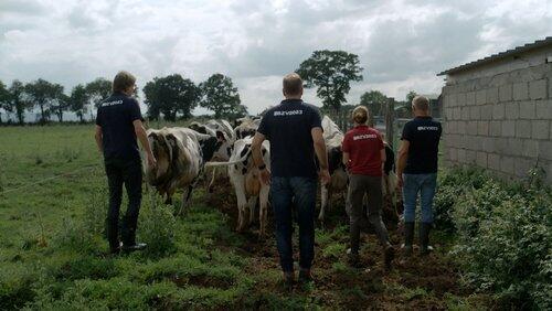 De logeerweek begint De logeerweek begint
