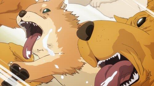 Doggy Panic Doggy Panic