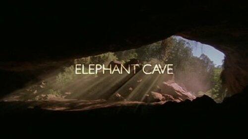 Elephant Cave Elephant Cave