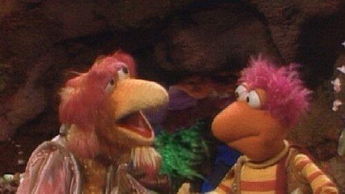 The Honk of Honks The Honk of Honks