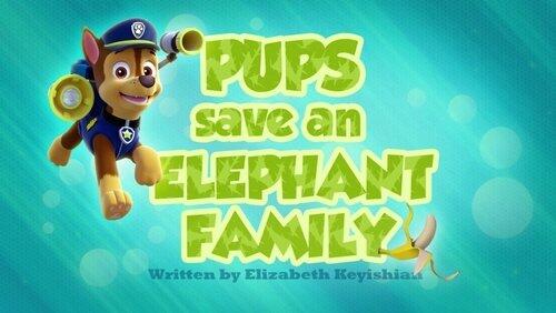 Pups Save an Elephant Family Pups Save an Elephant Family
