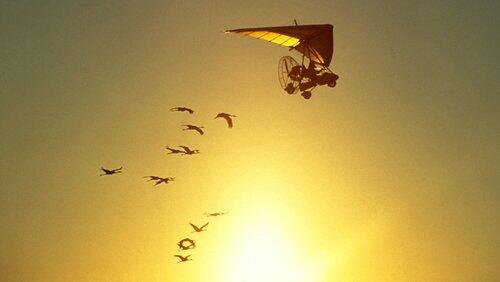Flight School Flight School