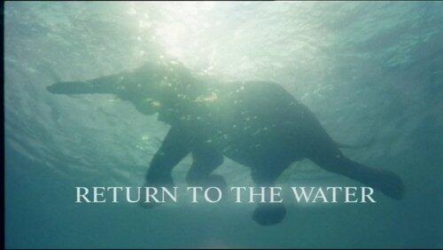 Return to the Water Return to the Water