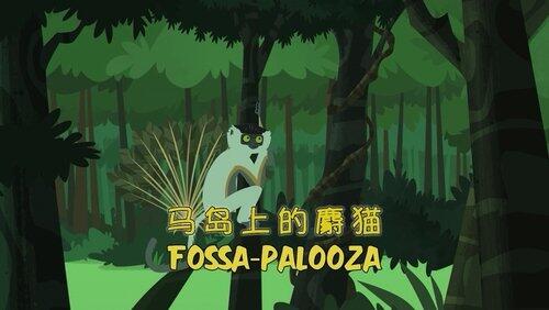 Fossa Palooza! Fossa Palooza!