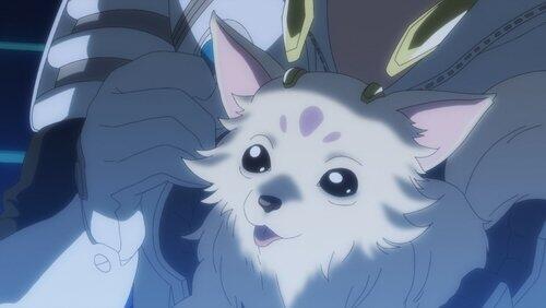 MY CUTE PUPPY/DO NOT DISTURB MY CUTE PUPPY/DO NOT DISTURB