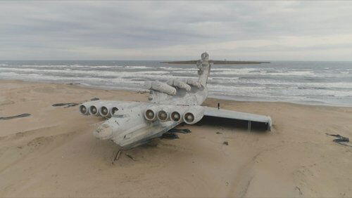 The Beached Leviathan The Beached Leviathan