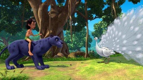 Pavo the Bold Pavo the Bold