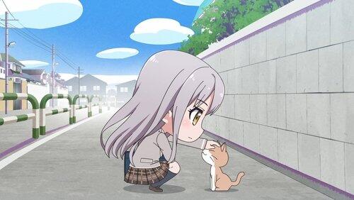 Kitty Kitty Time Kitty Kitty Time