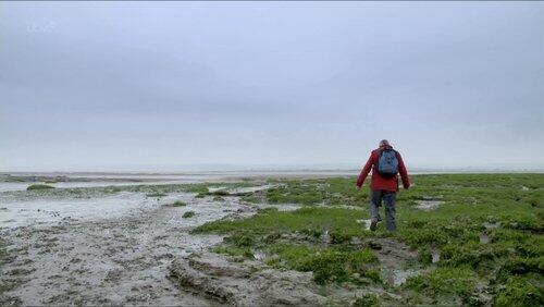 Gower Gower