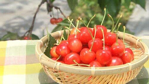 Cherries Cherries
